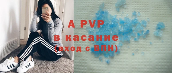 ешки Богданович